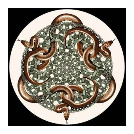Presse papier escher 3dMouseion -PESC3