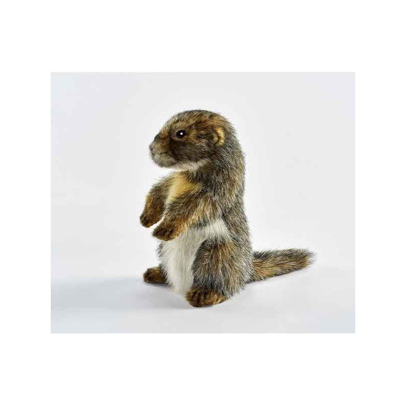 Animaux de la forêt Marmotte 23cmh peluche animalière -6754