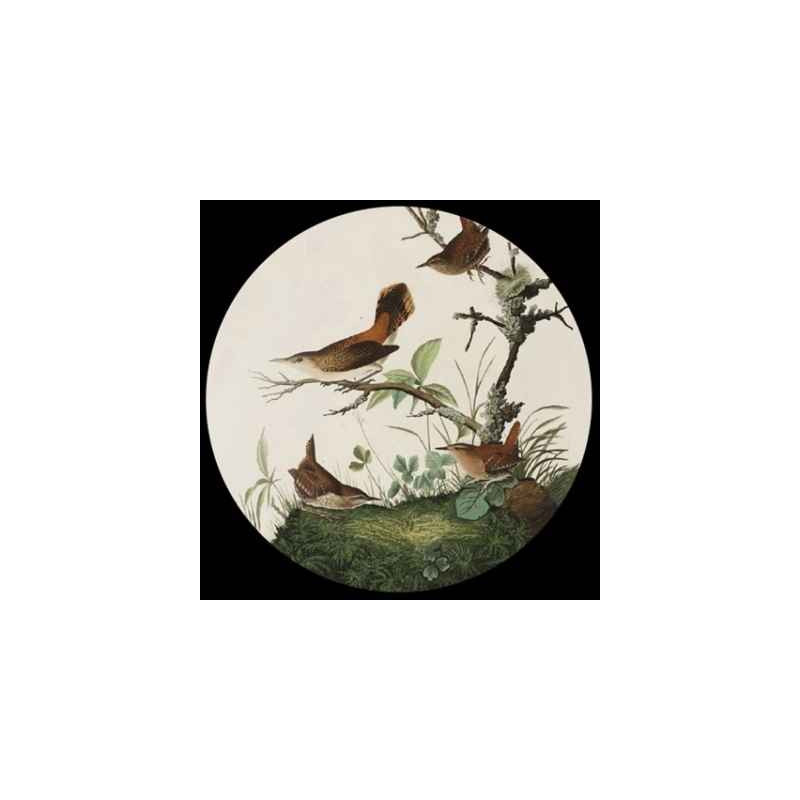 Presse papier audubon 3dMouseion -PAUD1