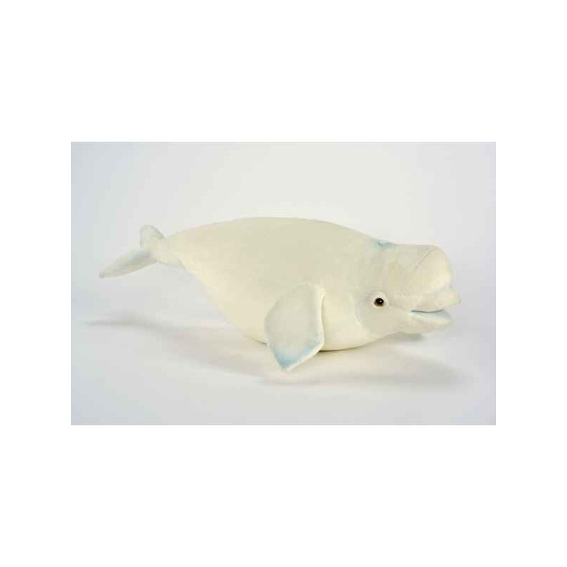 Animaux marins Beluga 60cml peluche animalière -6632