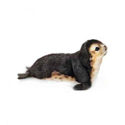 Animaux marins Phoque moine bébé 30cml peluche animalière -6803