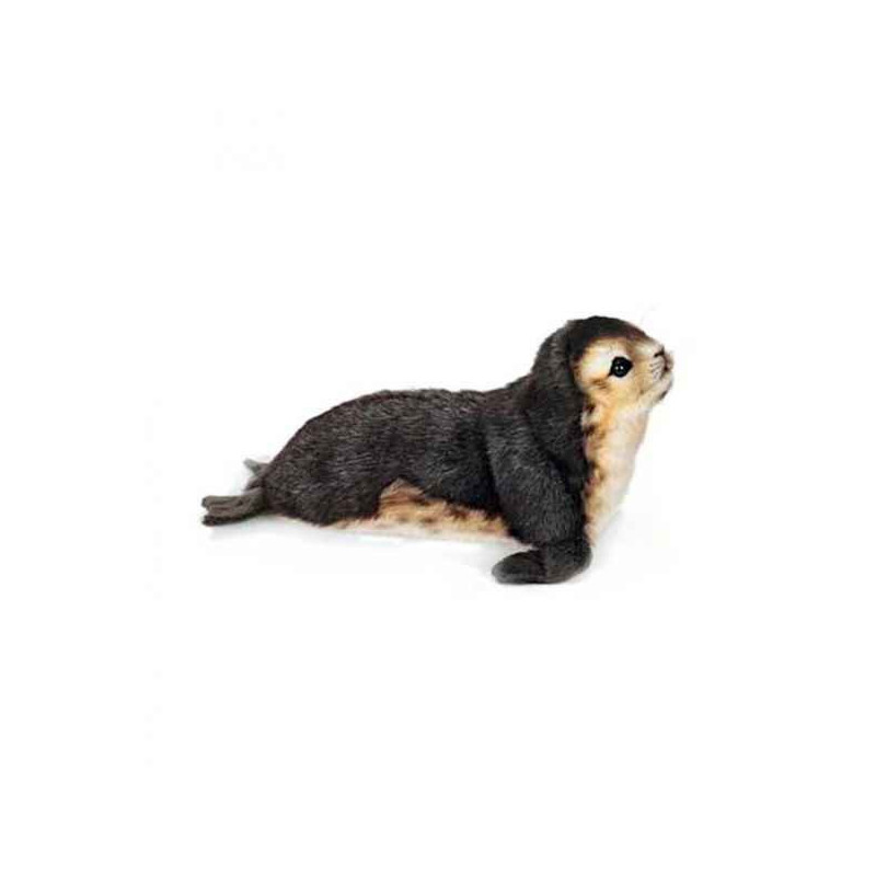 Animaux marins Phoque moine bébé 30cml peluche animalière -6803