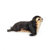 Animaux marins Phoque moine bébé 30cml peluche animalière -6803