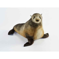 Animaux marins Otarie 44cml peluche animalière -6699