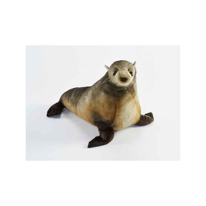 Animaux marins Otarie 44cml peluche animalière -6699