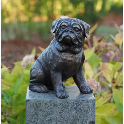 Chien carlin Thermobrass -AN1173BRW-B