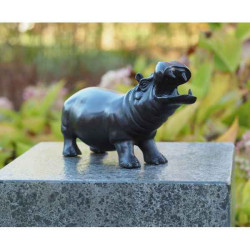 Hippo Thermobrass -AN0408BR-B-F