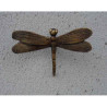Petite libellule Thermobrass -AN1061BR-B