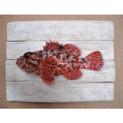 Animaux-Bois-Animaux-Bronzes propose Décors poisson de mer Chapon -CADR01