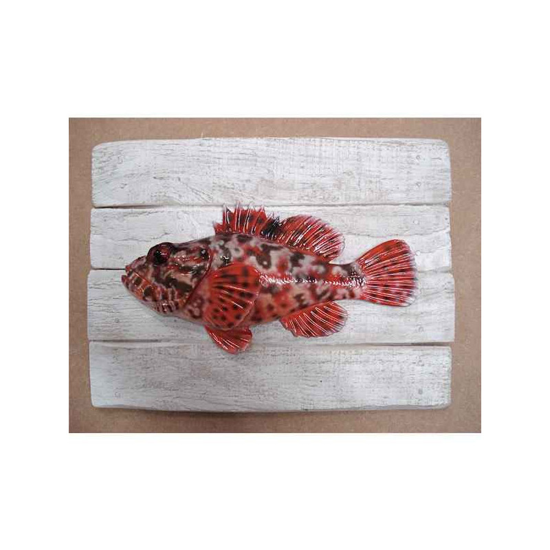 Animaux-Bois-Animaux-Bronzes propose Décors poisson de mer Chapon -CADR01