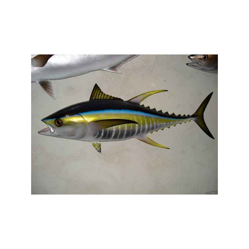 Animaux-Bois-Animaux-Bronzes propose Trophée poisson des mers tropicales  Thon jaune -TRDF67