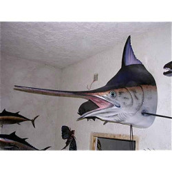 Animaux-Bois-Animaux-Bronzes propose Trophée poisson des mers tropicales  Marlin noir tête -TR064