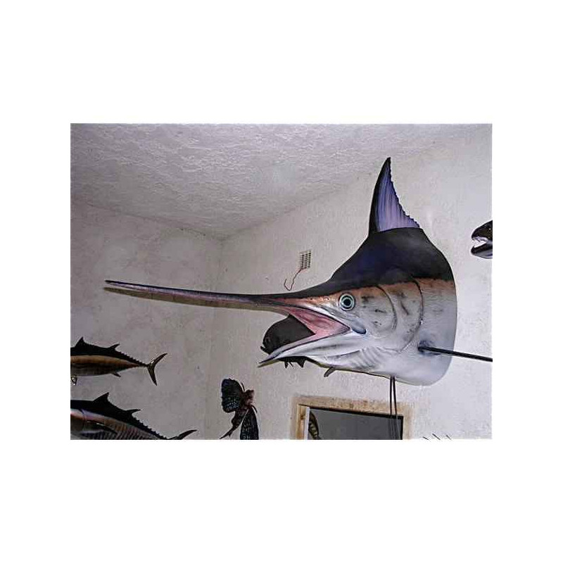 Animaux-Bois-Animaux-Bronzes propose Trophée poisson des mers tropicales  Marlin noir tête -TR064