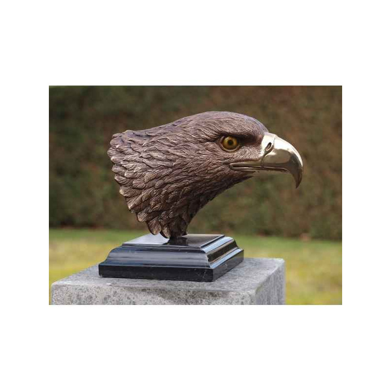 Tête d'aigle Thermobrass -AN1151BR-B