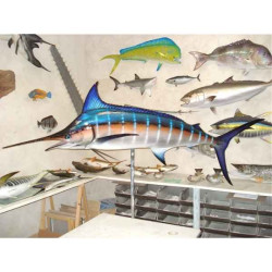 Animaux-Bois-Animaux-Bronzes propose Trophée poisson des mers tropicales  Marlin bleu -TRDF59