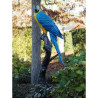 Perroquet sur tronc d'arbre Thermobrass -B1147