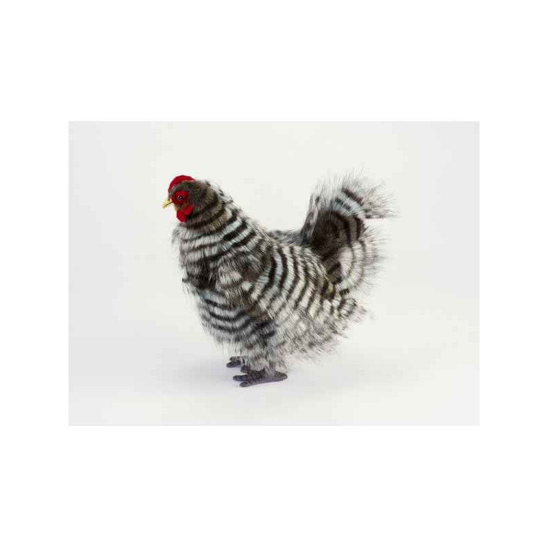 Décoration OiseauxPoule grise 30cml peluche animalière -6479 Anima