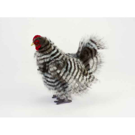 Décoration OiseauxPoule grise 30cml peluche animalière -6479 Anima