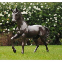 Cheval 81 cm Thermobrass -B1199-3