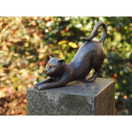 Chat avec les pattes avant étirés Thermobrass -AN1675BR-BI-N