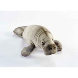 Animaux marins Lamentin 45cml peluche animalière -6603