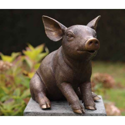 Cochon assise Thermobrass -AN1136BR-B