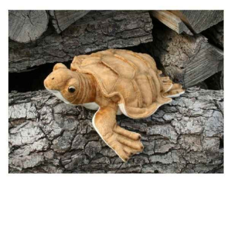 Animaux marins Tortue marine 38cml peluche animalière -60099