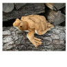Animaux marins Tortue marine 38cml peluche animalière -60099