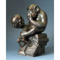 Animaux sauvage Rheinhold philos monkey large 20cm 3dMouseion -RHE03