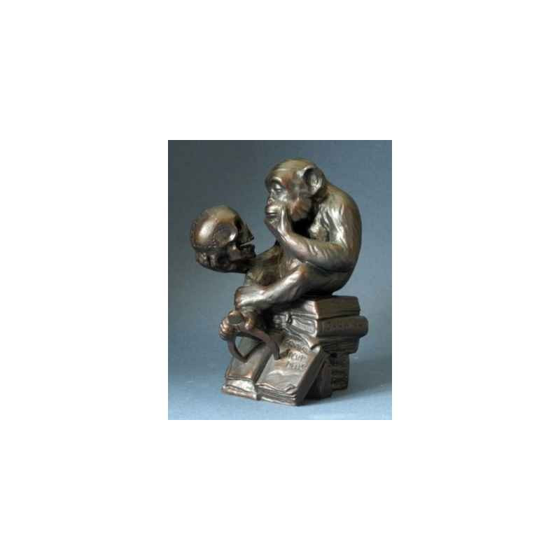 Animaux sauvage Rheinhold philos monkey large 20cm 3dMouseion -RHE03