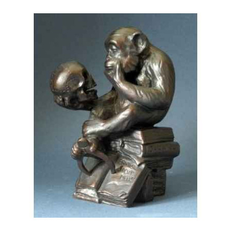 Rheinhold philos monkey large 20cm 3dMouseion -RHE03