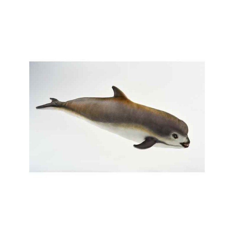 Animaux marins Dauphin vaquita 53cml peluche animalière -6792