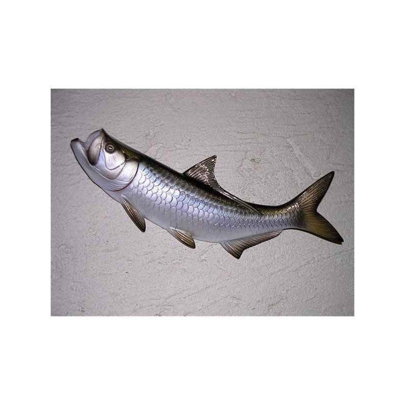Animaux-Bois-Animaux-Bronzes propose Poisson Tarpon sculpture murale -MSR009