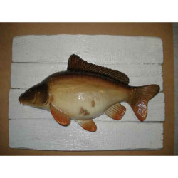 Animaux-Bois-Animaux-Bronzes propose Décors poisson d'eau douce Carpe miroir -CADR14