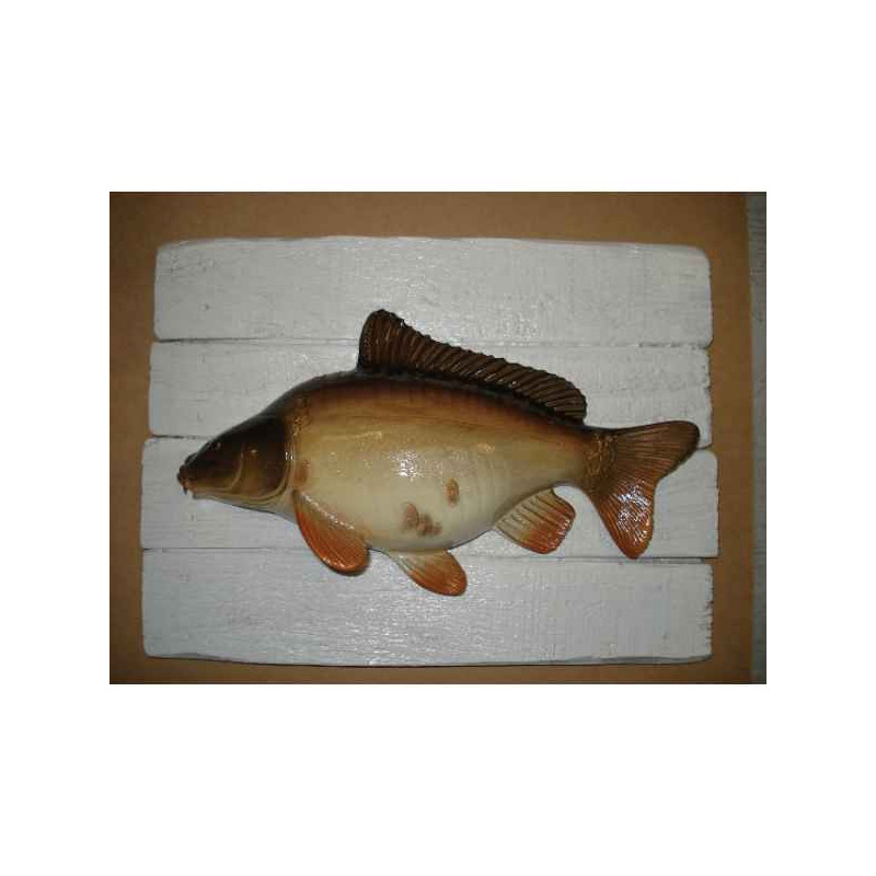 Animaux-Bois-Animaux-Bronzes propose Décors poisson d'eau douce Carpe miroir -CADR14