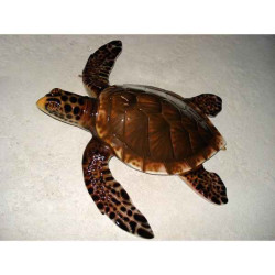 Animaux marins Grande sculpture relief Tortue marine -GSR006
