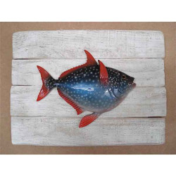 Animaux-Bois-Animaux-Bronzes propose Décors poisson des tropiques Opah -CADR38