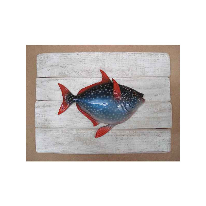 Animaux-Bois-Animaux-Bronzes propose Décors poisson des tropiques Opah -CADR38