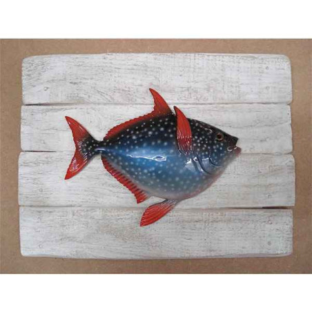 Animaux-Bois-Animaux-Bronzes propose Décors poisson des tropiques Opah -CADR38
