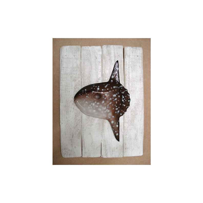 Animaux-Bois-Animaux-Bronzes propose Décors poisson de mer Poisson lune -CADR10