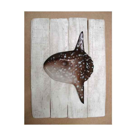 Cadre poisson de mer Cap Vert Poisson lune  -CADR10