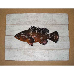 Animaux-Bois-Animaux-Bronzes propose Décors poisson de mer Mérou -CADR08