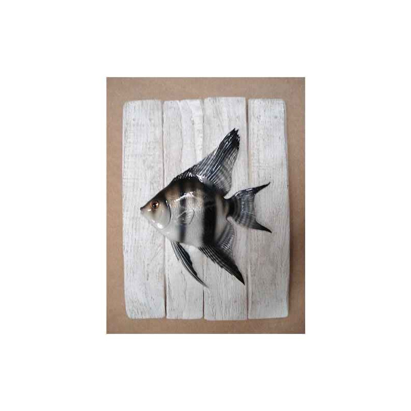 Animaux-Bois-Animaux-Bronzes propose Décors poisson d'eau douce Scalaire -CADR20