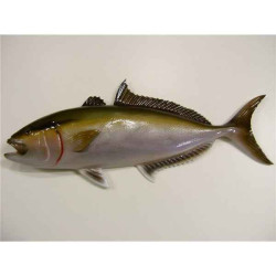 Animaux-Bois-Animaux-Bronzes propose Poisson Sériole sculpture murale -MSR008