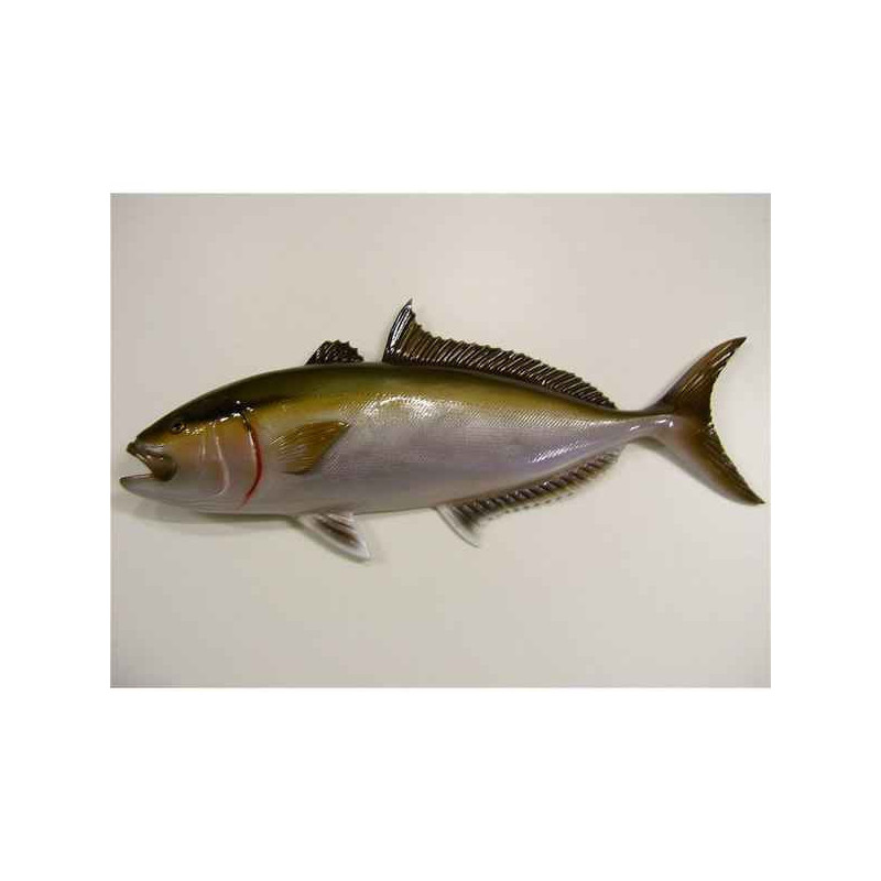 Animaux-Bois-Animaux-Bronzes propose Poisson Sériole sculpture murale -MSR008