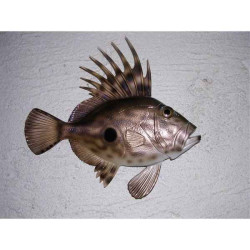 Animaux-Bois-Animaux-Bronzes propose Poisson Saint-Pierre sculpture murale -MSR006
