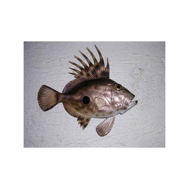 Animaux-Bois-Animaux-Bronzes propose Poisson Saint-Pierre sculpture murale -MSR006