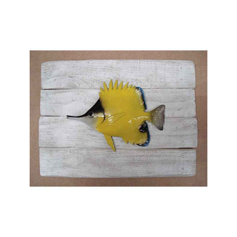Animaux-Bois-Animaux-Bronzes propose Décors poisson des tropiques Poisson pincette -CADR39