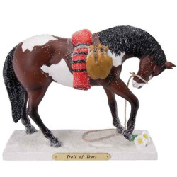 Trail of tears painted ponies -4030257