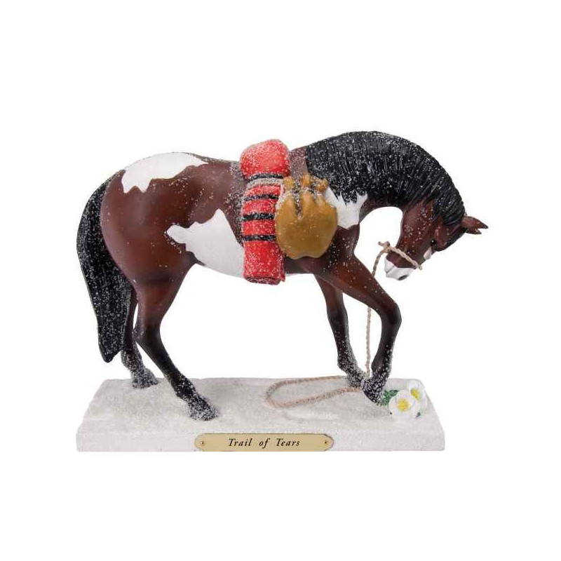 Trail of tears painted ponies -4030257